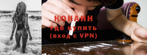 шишки Белокуриха
