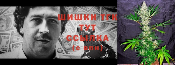 прущие грибы Алзамай