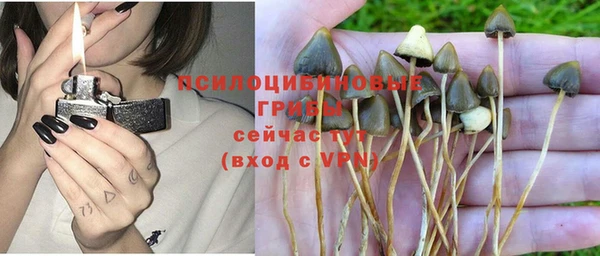 ALPHA-PVP Баксан