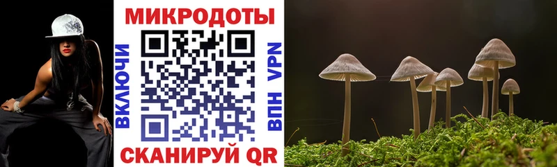 Купить закладки  Долгопрудный  Галлюциногенные грибы Psilocybine cubensis 