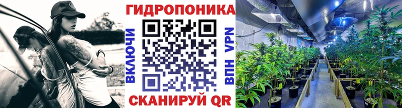 Купить  Долгопрудный  Бошки марихуана AK-47 